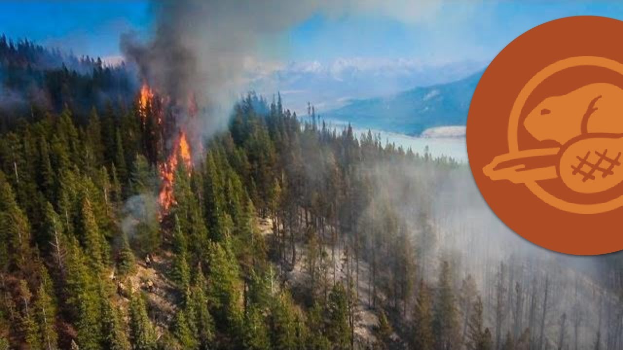 Fire in Jasper National Park