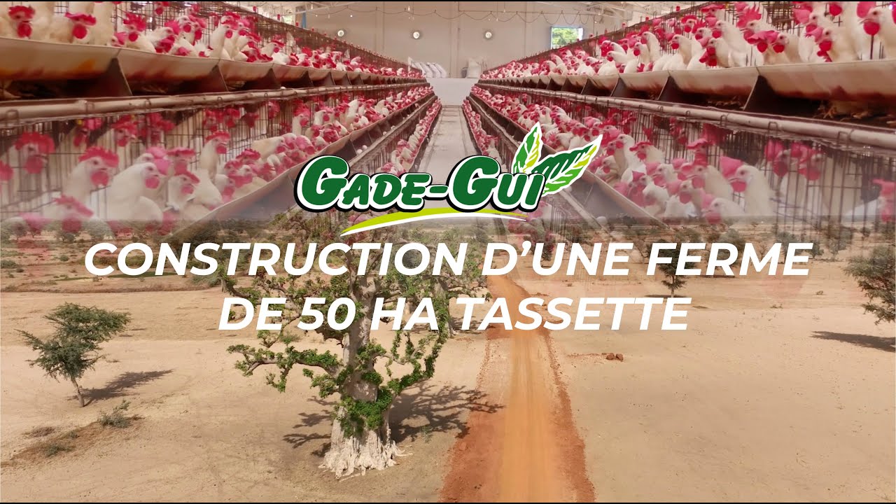 Gade Gui: Construction d'une Ferme Agro écologique de 50 Ha à Tassettes