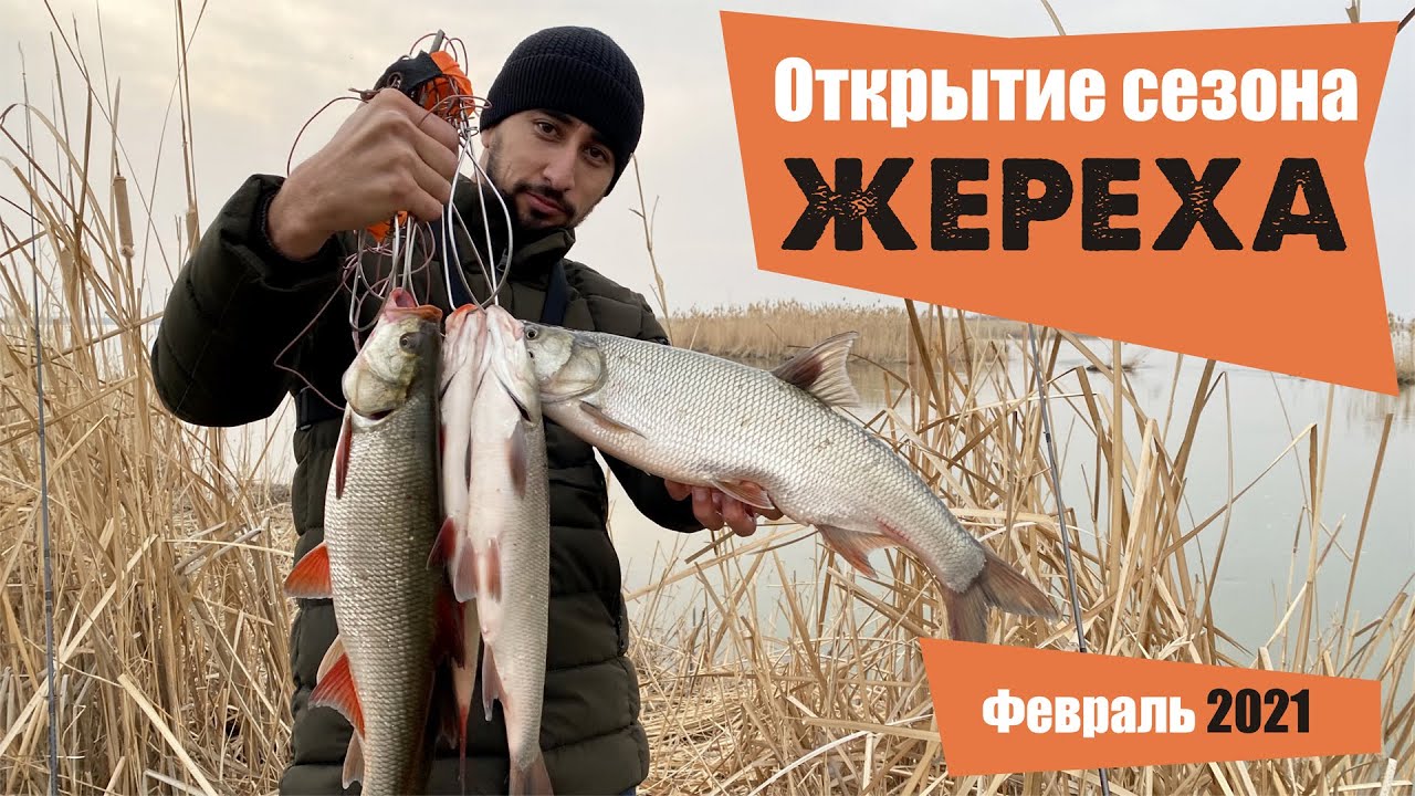Открыл сезон по Жереху, февраль 2021 ''Ловля Жереха 2021''