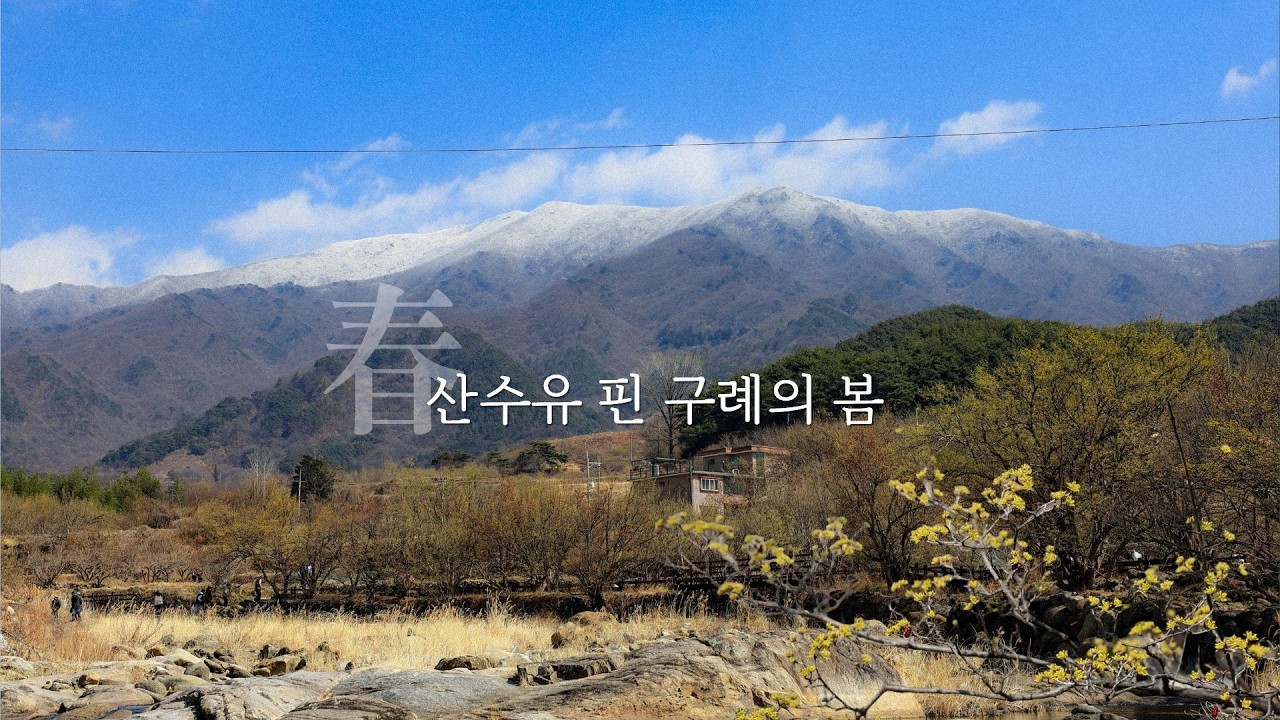 🌼찾았다! 시골에서 은퇴 후 내 꿈 그리고 구례에서 봄맞이