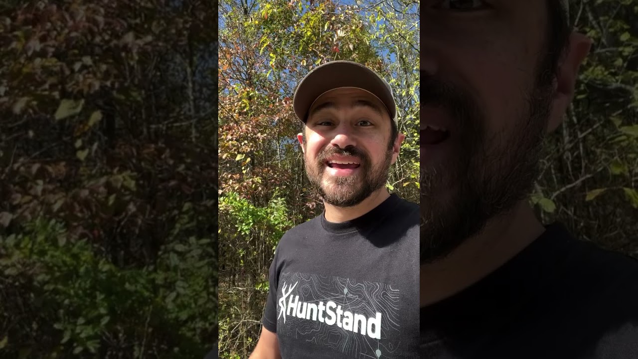 Use this to 🔑 in on your bucks during the rut! 