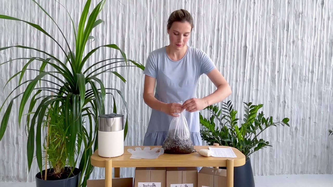 Наборы ГрибничОк