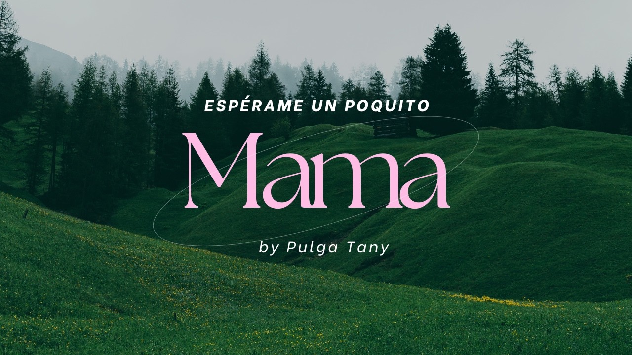 ESPÉRAME UN POQUITO - PULGATANY