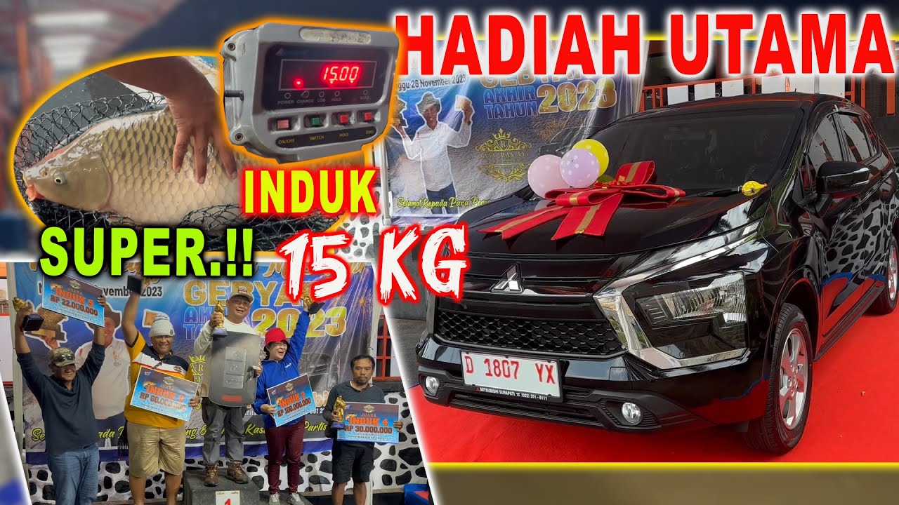 GEBYAR EVENT AKHIR TAHUN 2023 PEMANCINGAN GALATAMA NEW RATU MAS AYU - BABON SUPER 15 KG NAIK