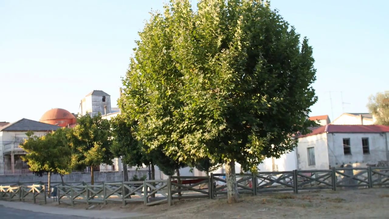 Fuentes de B&eacute;jar