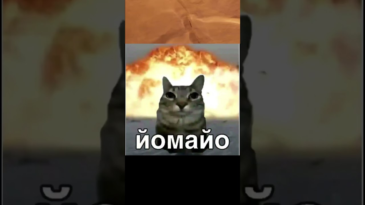 Ничего не произошло..... #gaminglife #funny #onlinegaming #letsplay #youtubeshorts #рек #coop #игры