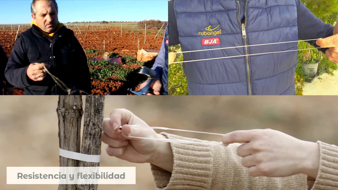 Maquina atadora con cinta especial para viñas Rubangel