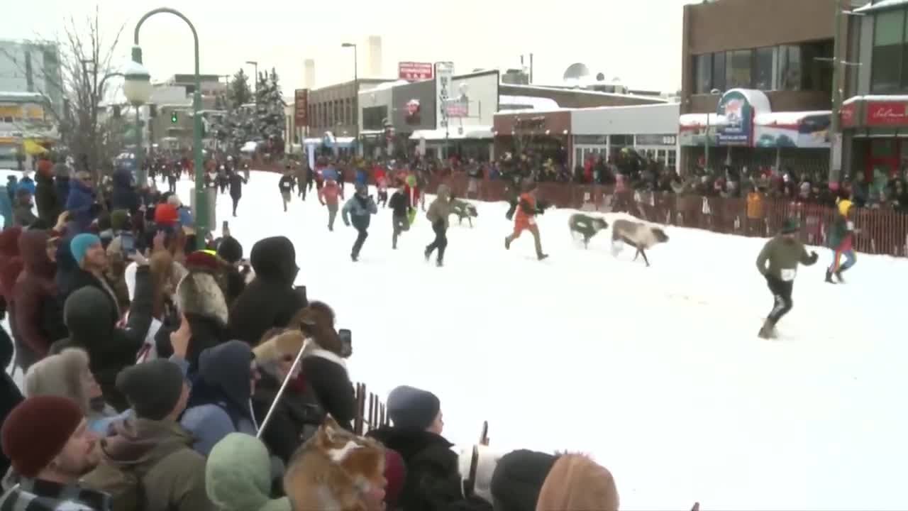 Running of the Reindeer continues as Fur Rondy staple