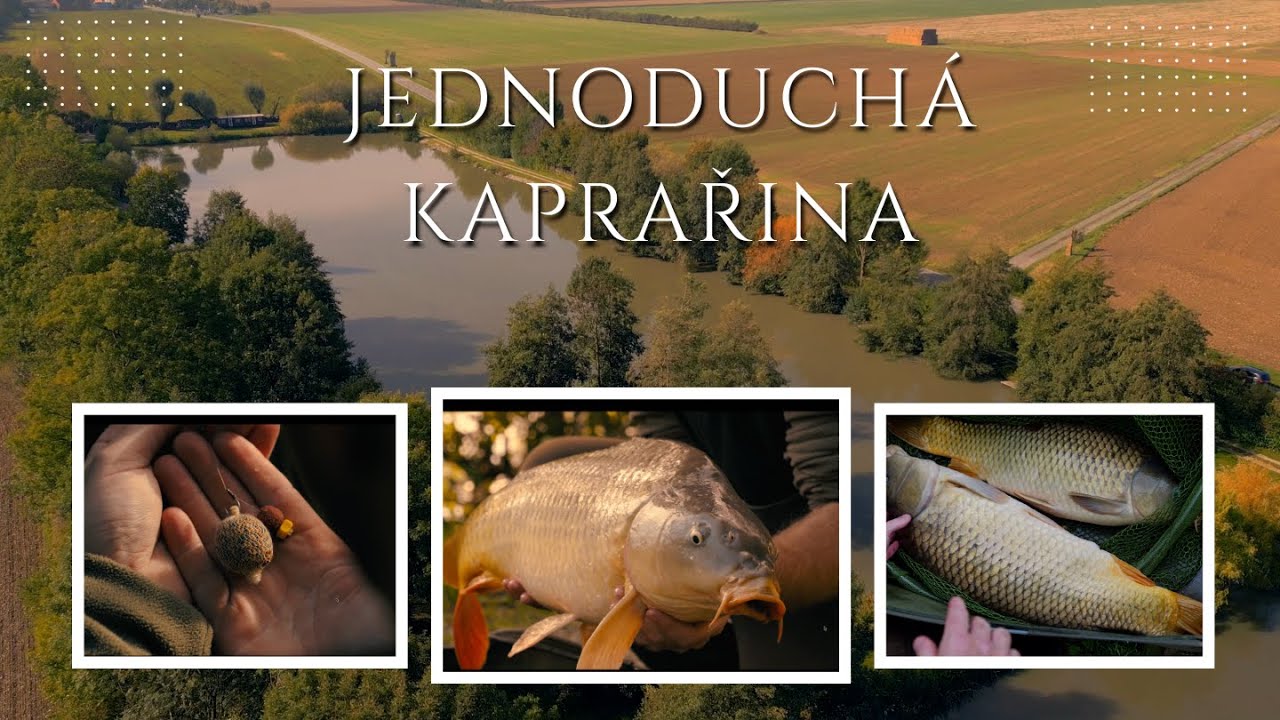 JEDNODUCH&Aacute; KAPRAŘINA