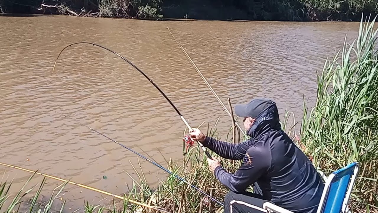 Pescaria de Piau e lambari #pesca esportiva 