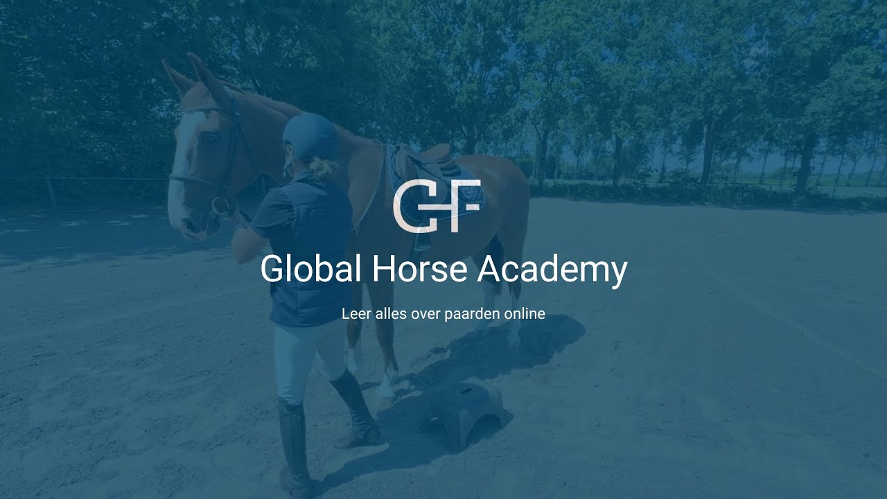 Leren opstappen op een paard met krukje | Leren paardrijden