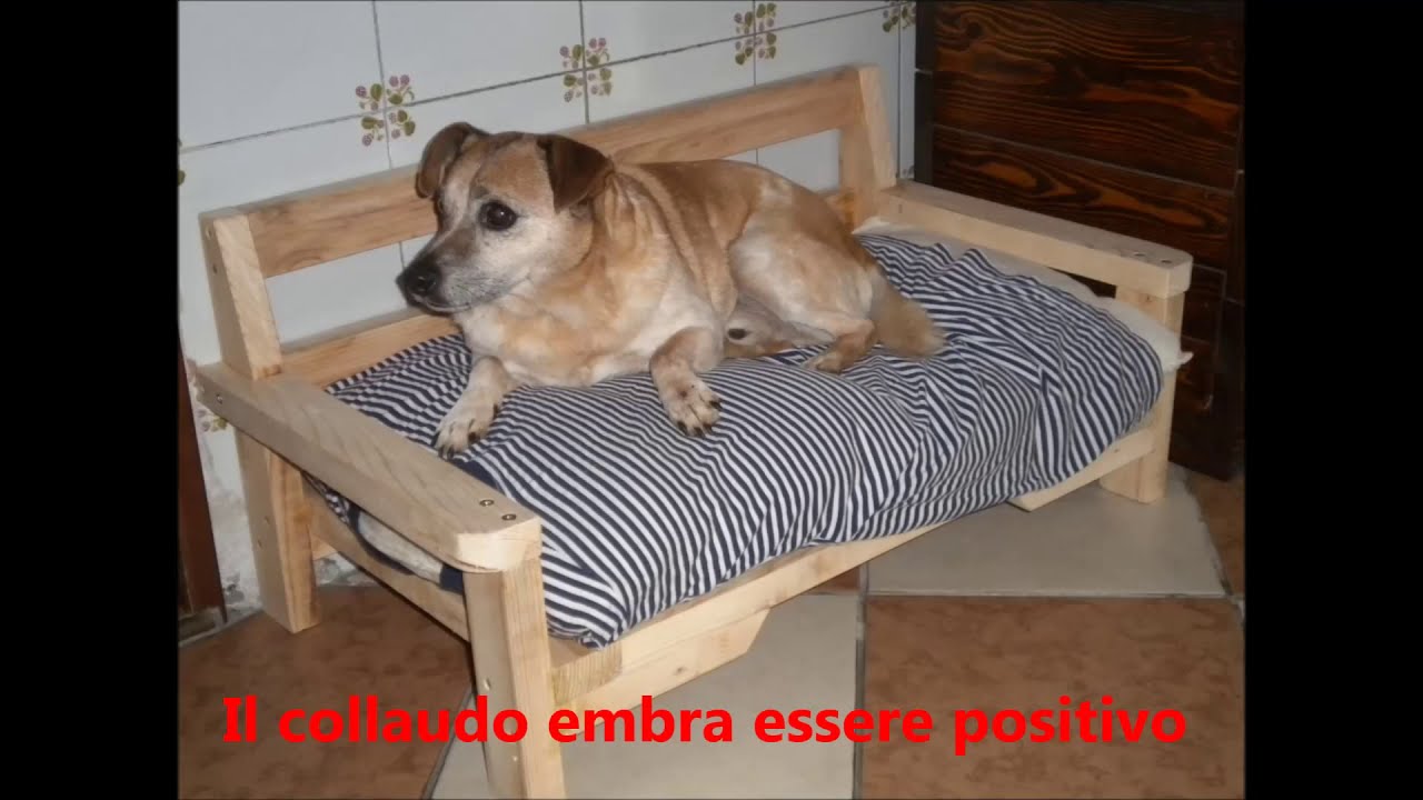 Divanetto per il cucciolo di casa