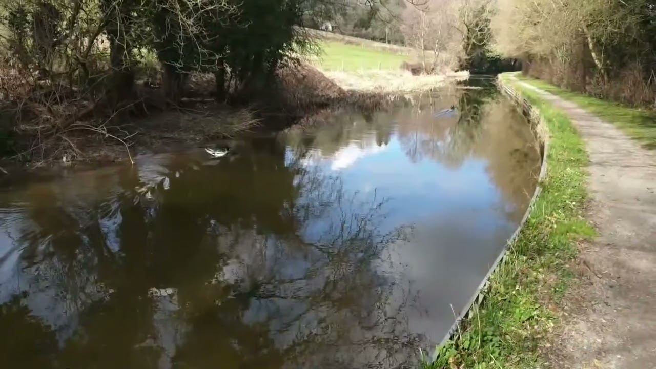 A walk along the Montgomery Canal  part 5