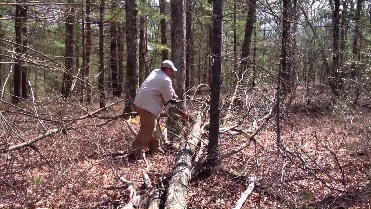 Kubota KX91-3 excavator - clearing for a vegetable garden - PART 2