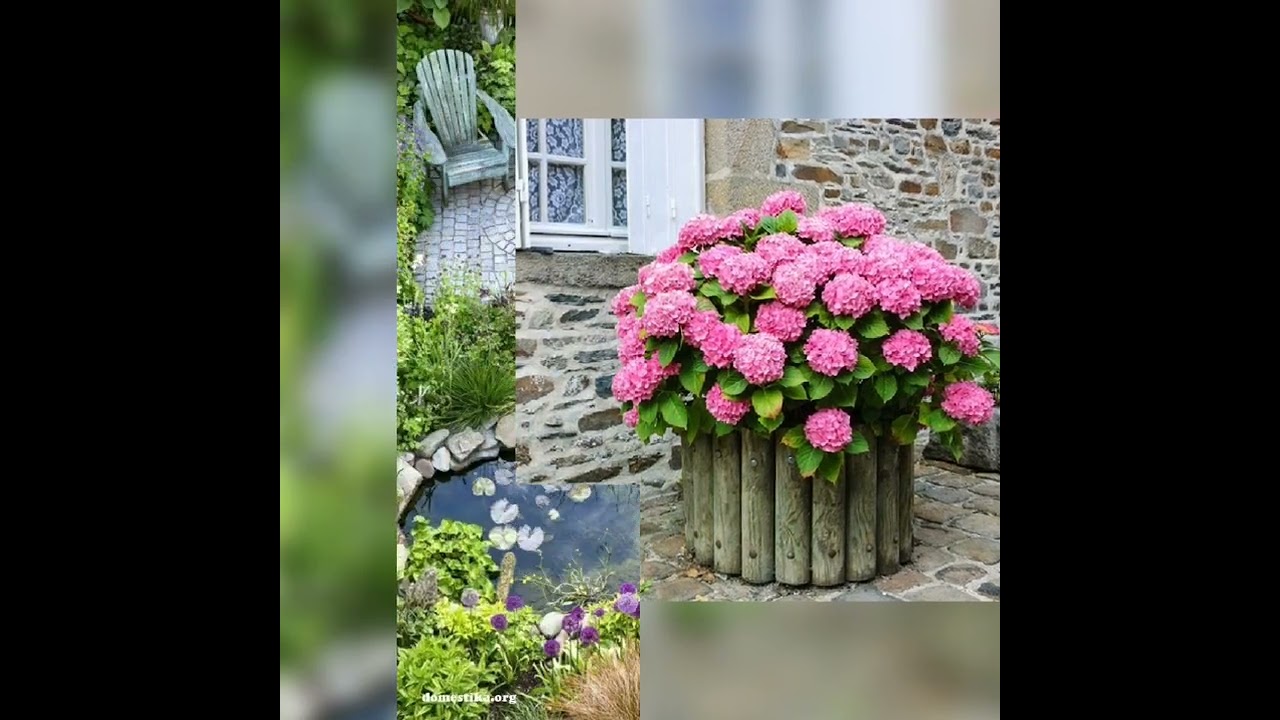 Dvori&scaron;te - ideje za uredjenje #ideje #ba&scaron;ta #cveće #dvori&scaron;te #garden