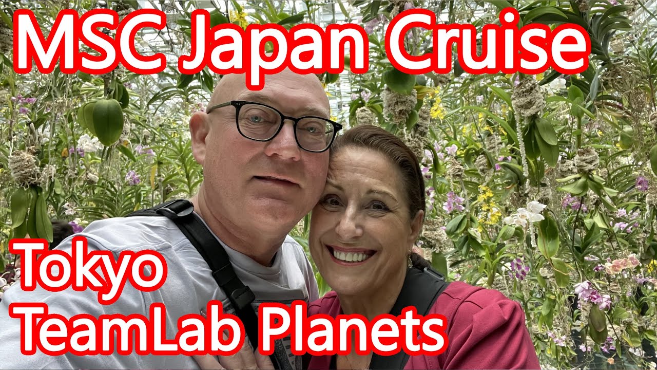 День высадки с круизного лайнера MSC Japan и программа TeamLab Planets в Токио — проведите послед...
