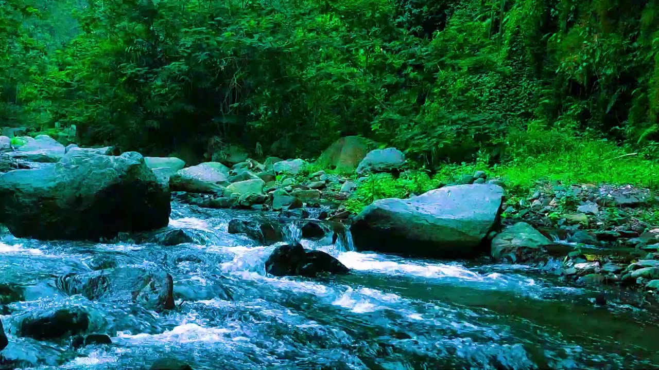 Relaxing River Ambience  White Noise for Better Sleep  Calm Mind