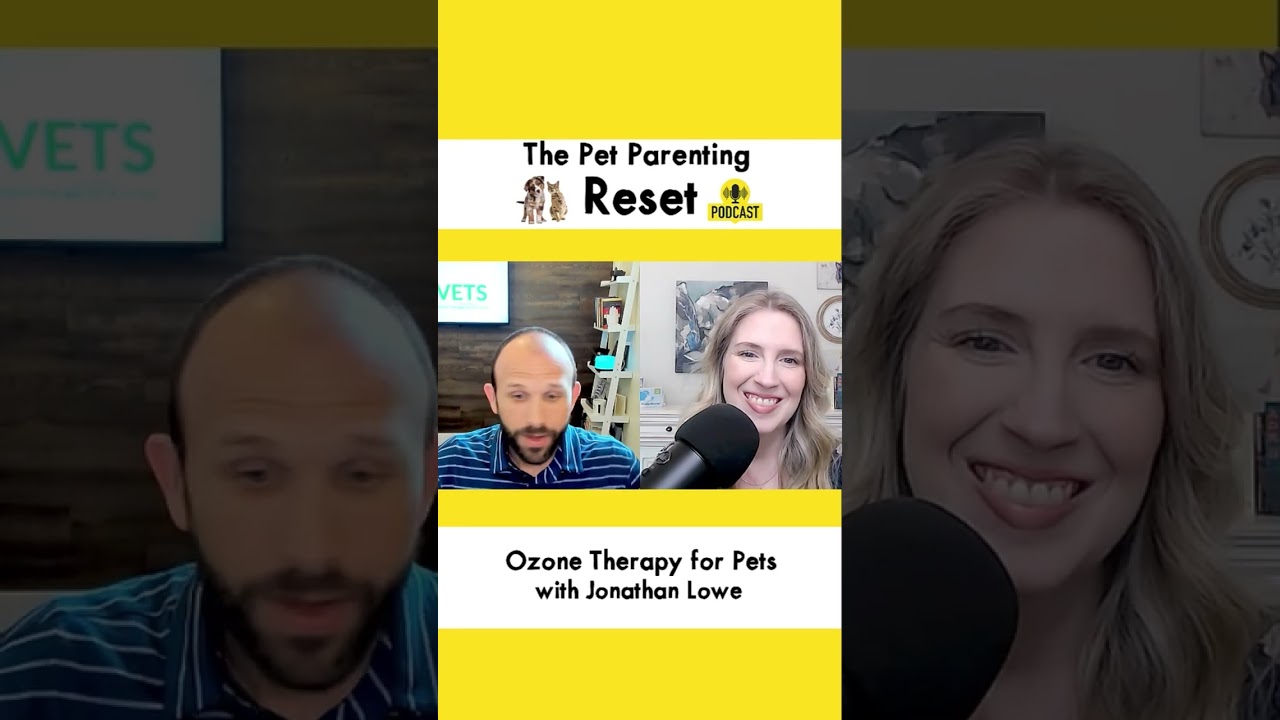 What is ozone therapy for pets?