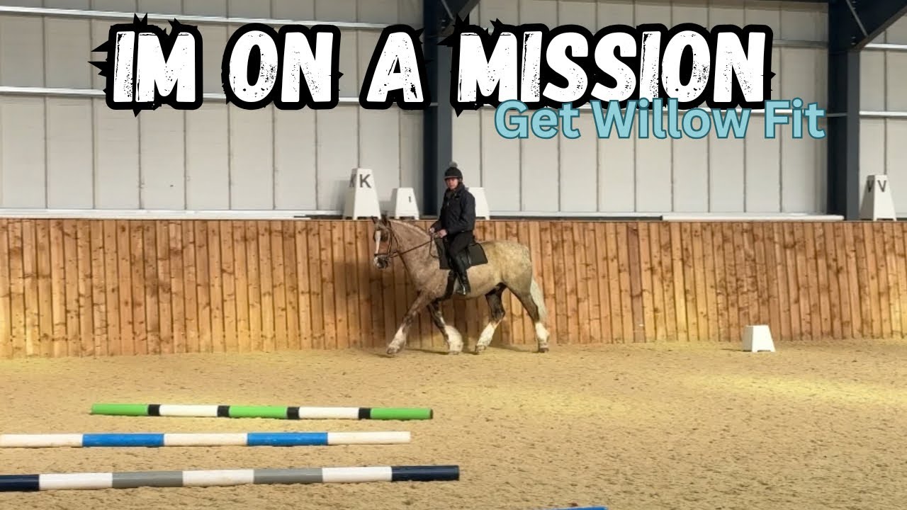 Путь к тому, чтобы привести мою лошадь в форму, начинается ПРЯМО СЕЙЧАС, с мастер-класса по работ...