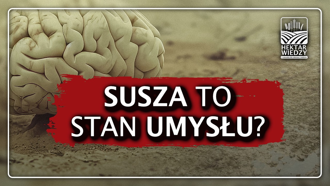 Susza to stan umysłu? | Hektar Wiedzy