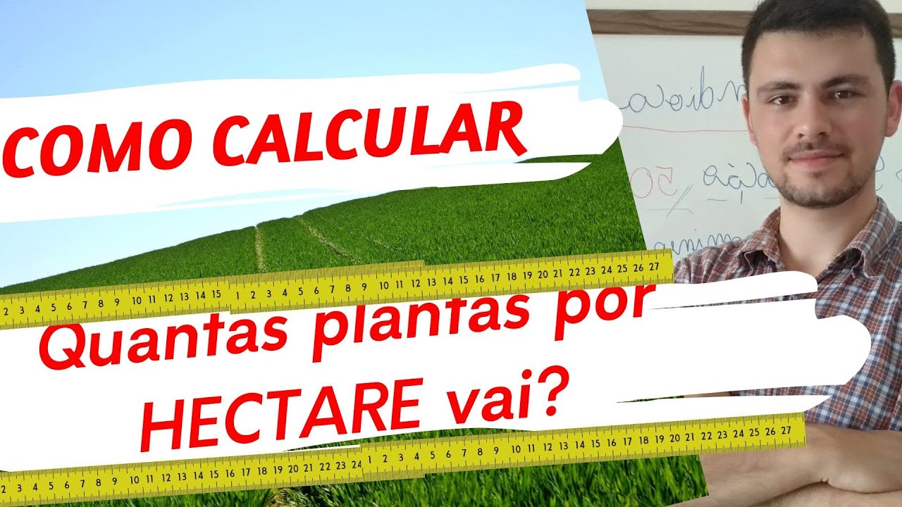 Calcular QUANTAS PLANTAS POR HECTARE devo colocar