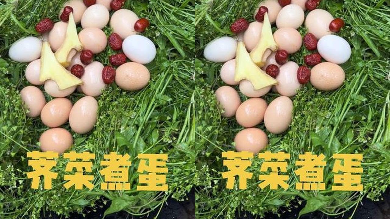 俗话说：农历三月三，荠菜赛仙丹，姐妹们记得吃荠菜煮鸡蛋哦！#我的乡村生活 #远嫁的姑娘 #荠菜煮鸡蛋 #上巳节