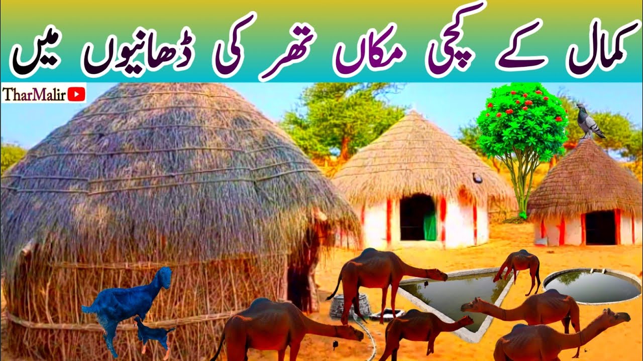 Beautiful Mud House Of Tharparkar | Best House Design ln Village Area | TharMalir 