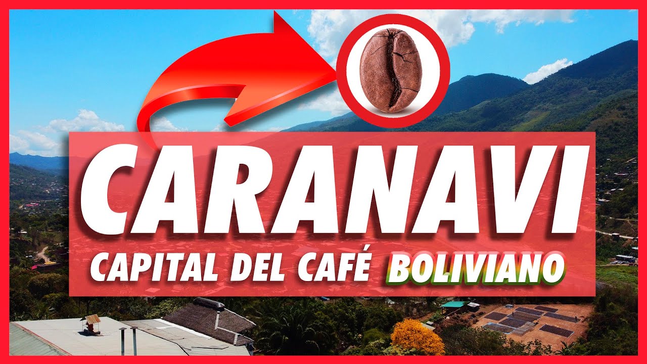 CARANAVI - LA CAPITAL DEL CAFÉ BOLIVIANO! ☕