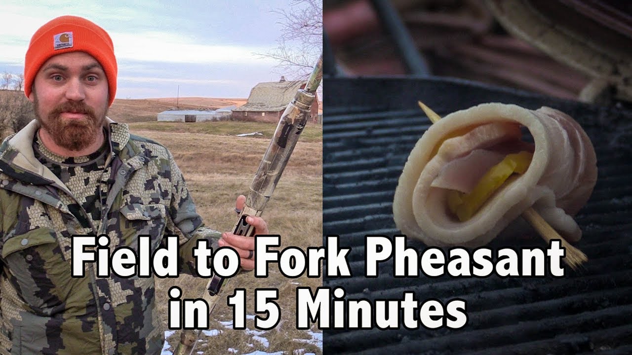 GREAT WAY TO COOK PHEASANT! Field to Fork Pheasant in 15 Minutes!