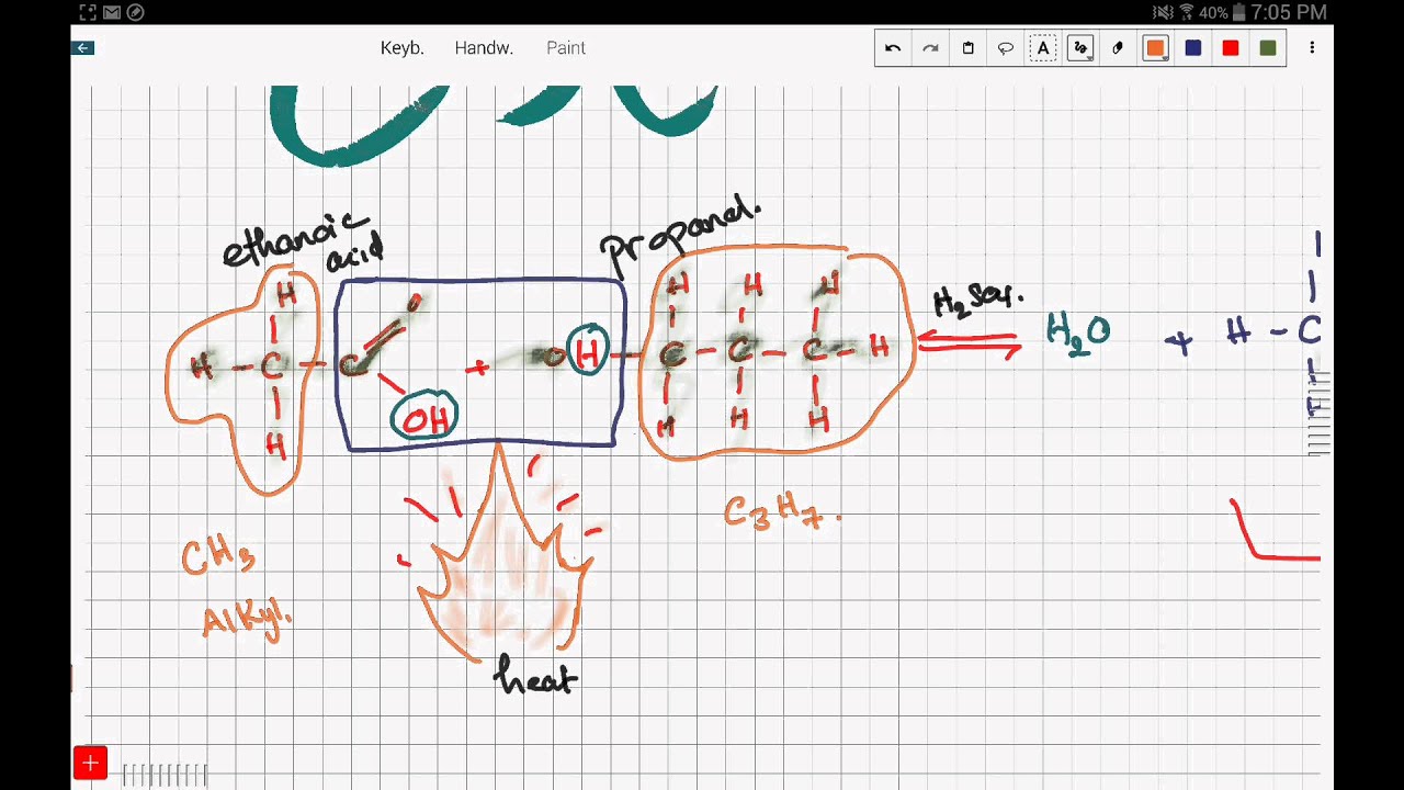 iGCSE / GCSE Chemistry: What are esters? (14.17)