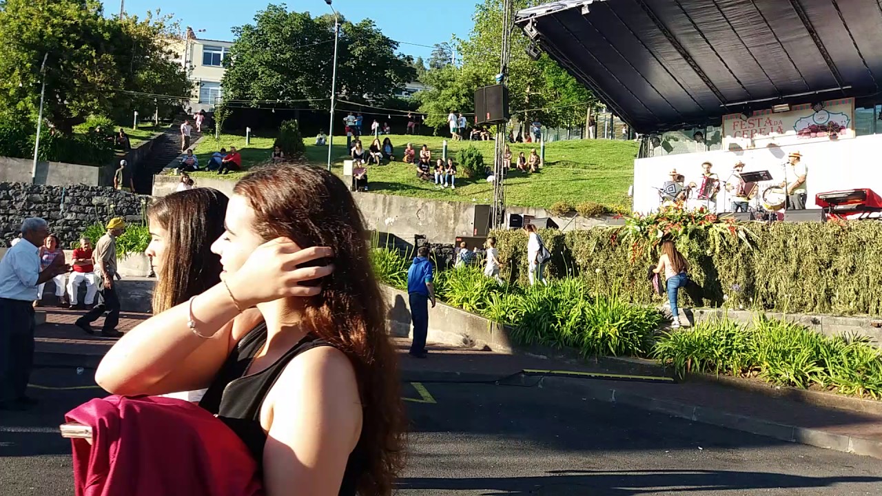 Amigos da gaita da c p do estreito na festa das cerejas