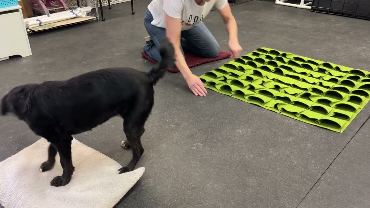 Olive 1-9-26 pockets