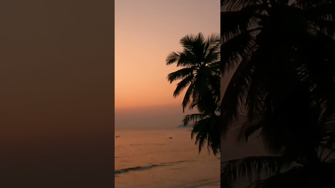 Unforgettable Sunset ✨ #youtubeshorts #sunset