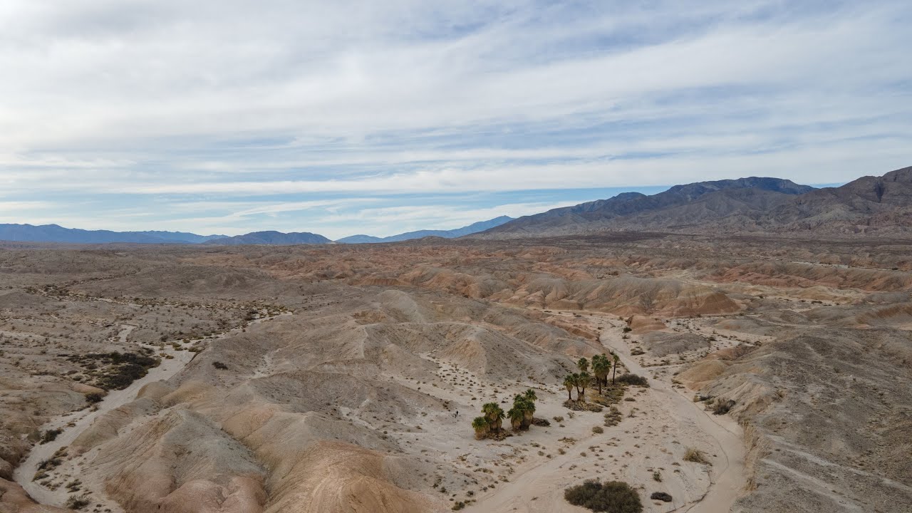 Climate change is ravaging Anza-Borrego Desert State Park, warn scientists. What can be done?
