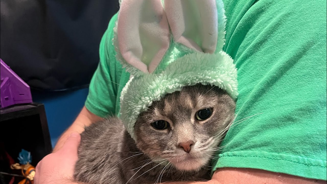 Bella gets into the school she wanted! We make spring cupcakes and finally fill those Easter eggs!