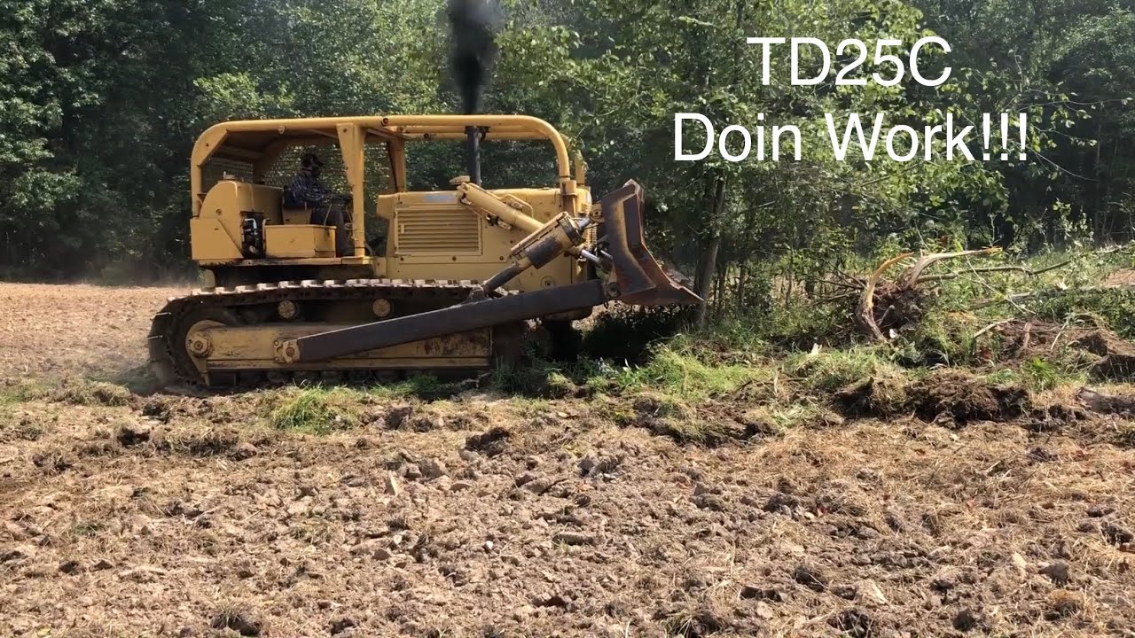 TD25C Clearing Trees for Hay and Pasture