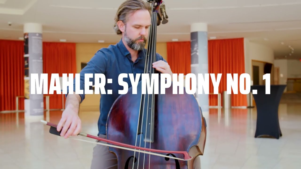 Story Behind The Sound: From Mozart to Maher with Principal Bass, Richard Cassarino