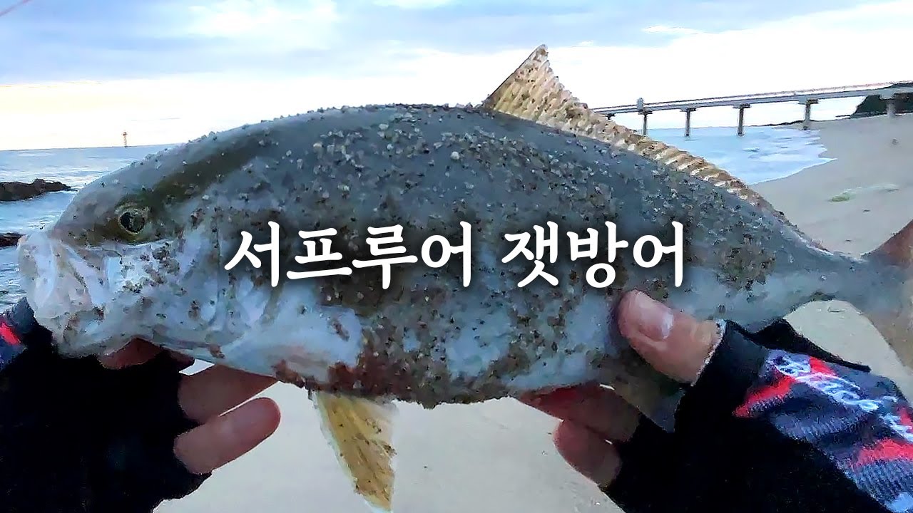 울진 서프루어 & 삼척 쇼어지깅