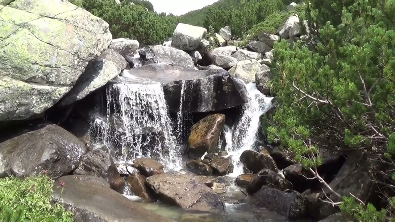 ОТ ЗАСЛОН 