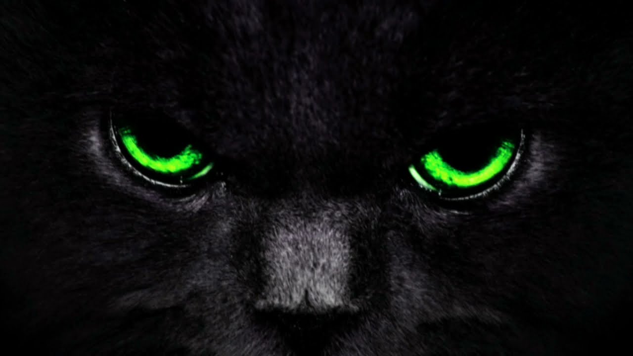 [FREE]Bass Sevenlere &Ouml;zel ▶Drill◀ Beat Remix