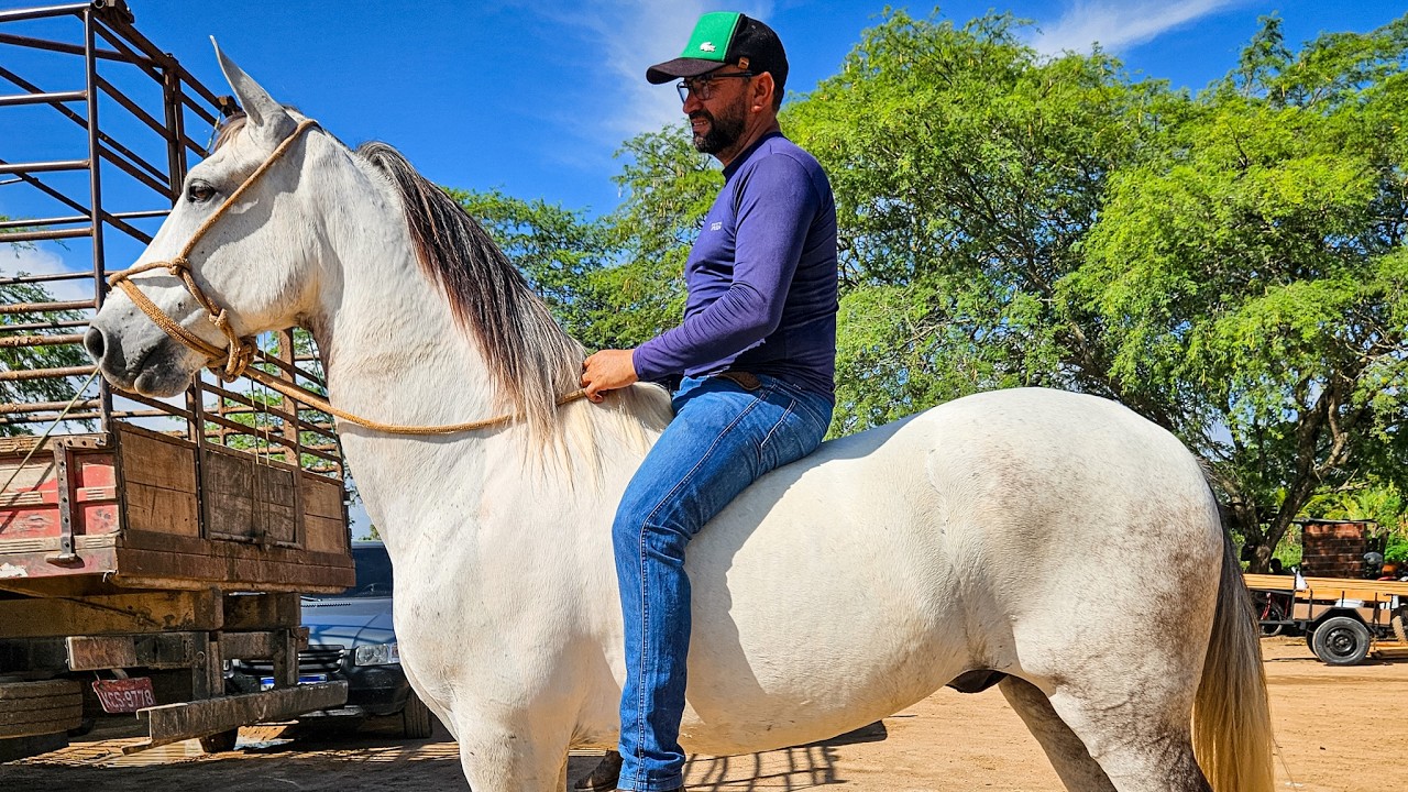 FEIRA DE CAVALOS DE ALTINHO PE, SÁBADO, (21/02/26) #nordeste