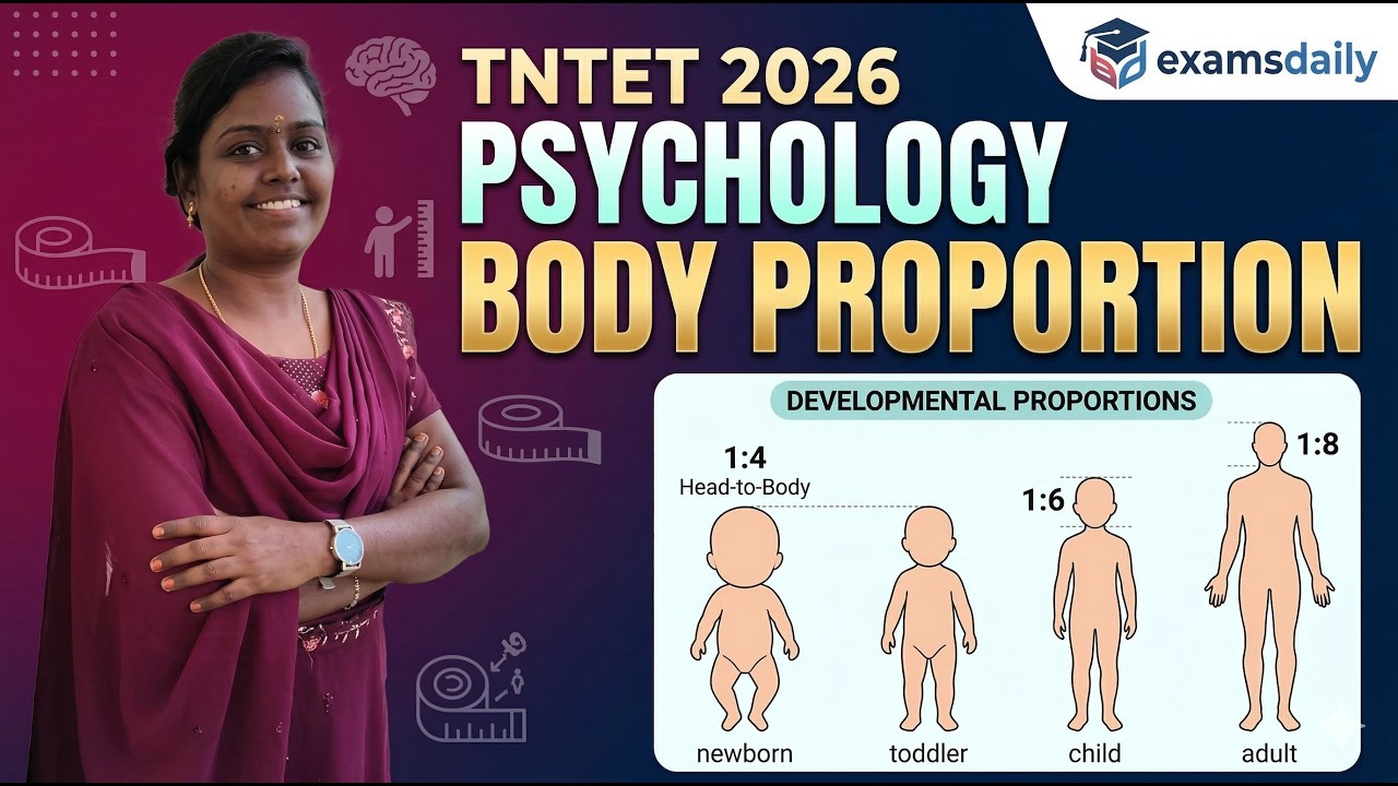 TNTET 2026 - ПСИХОЛОГИЯ - ПРОПОРЦИИ ТЕЛА