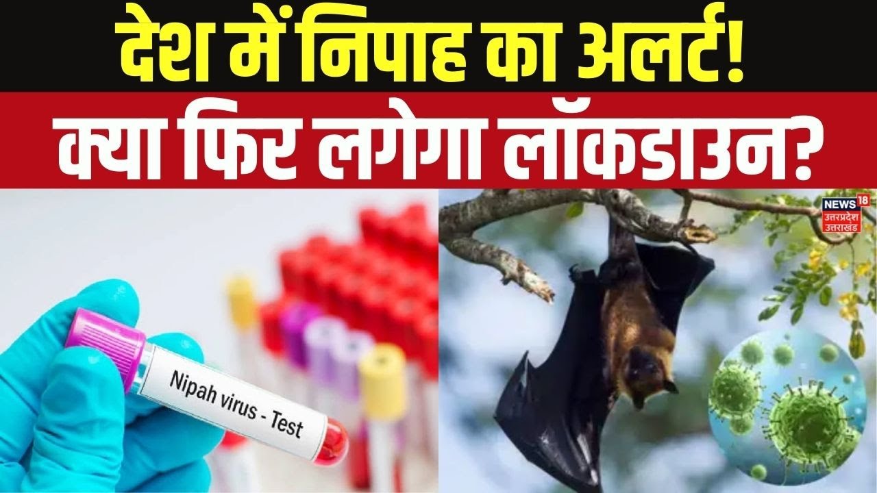 5 Cases Confirmed in West Bengal | निपाह वायरस ने बढ़ाई टेंशन!  Nipah Virus Latest News | Top News