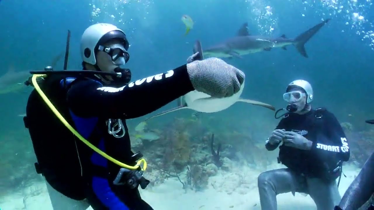 Shark Week with Craig Ferguson