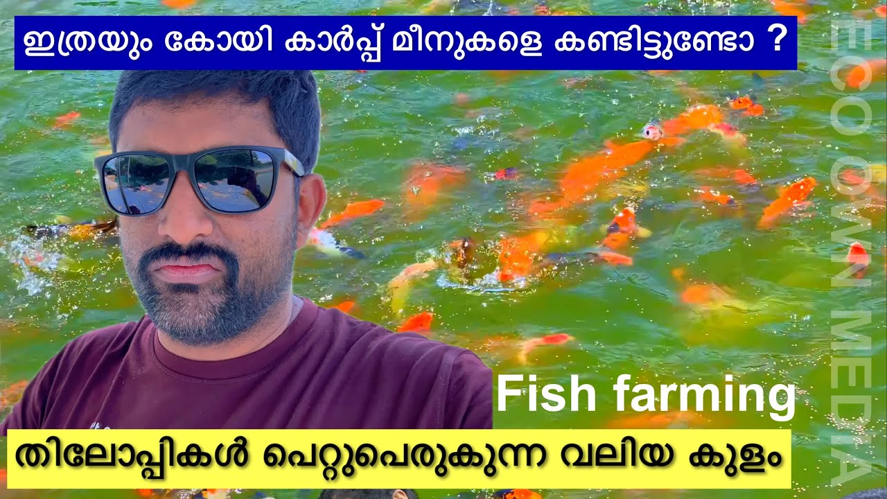 കൊച്ചിനെ മീനുകളെ കാണിക്കാൻ പോയതാ | ECO OWN MEDIA | Meen valarthal