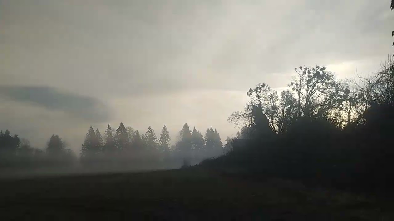 MistyMorningWalkNTalk Feb4