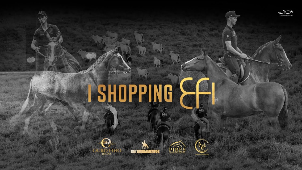 LIVE DE APRESENTA&Ccedil;&Atilde;O | 14/04 &Agrave;S 20H | 1&ordm; LEIL&Atilde;O SHOPPING EFI
