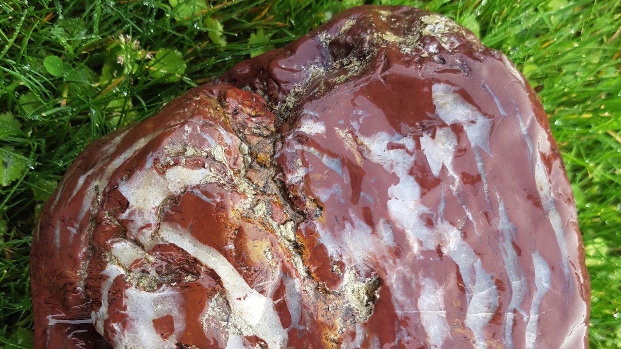Fossil hunting in a New Zealand river