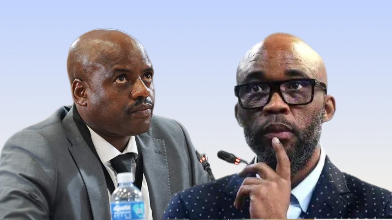 WATCH : Julius Mkhwanazi links first Cat Matlala knowledge to meeting with Mike van Wyk