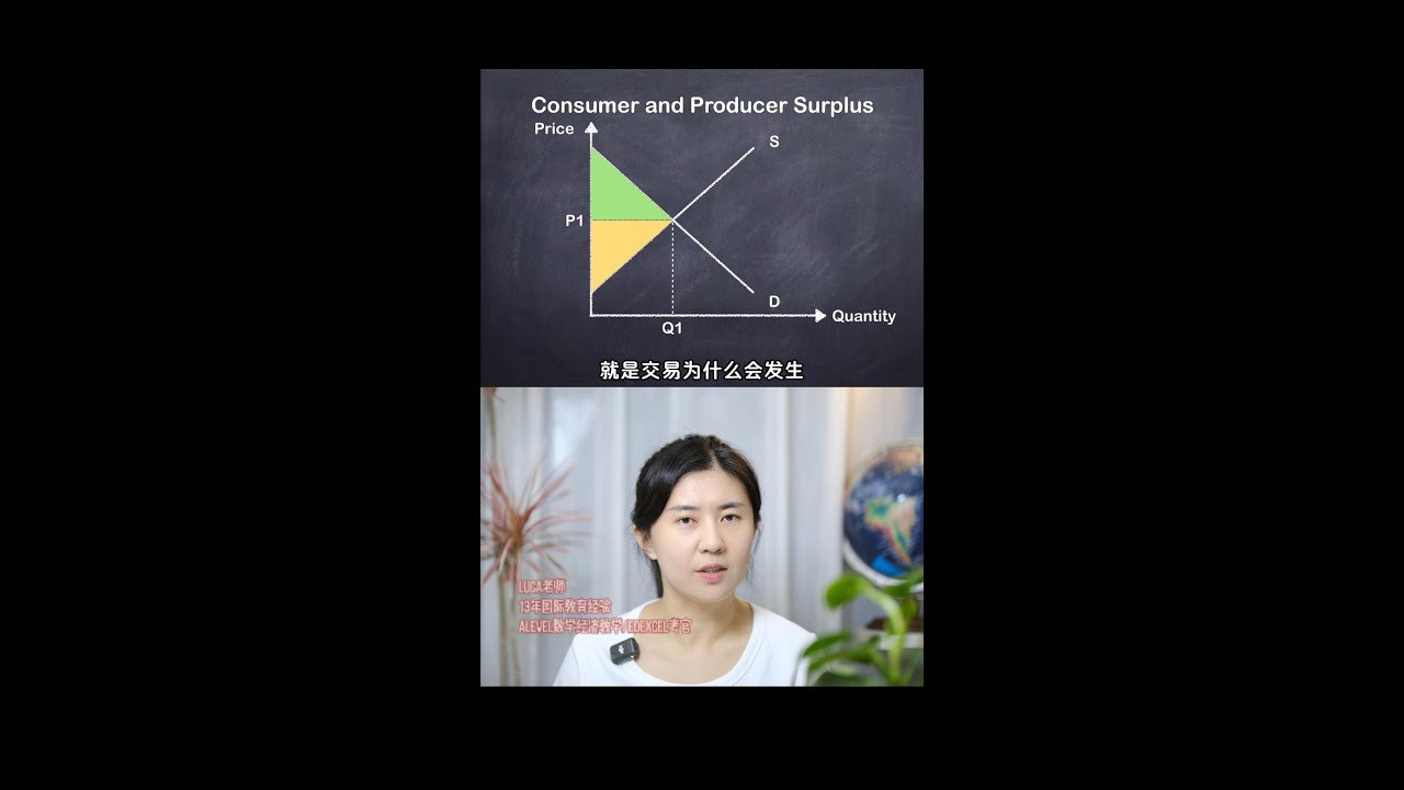 【Alevel经济】消费者/生产者剩余图像讲解🤝